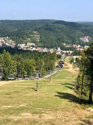 Шале Alpejskie Domy Ski House Крыница-Здруй Шале с 3 спальнями-106